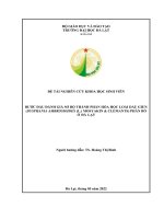 BƯỚC ĐẦU ĐÁNH GIÁ SƠ BỘ THÀNH PHẦN HÓA HỌC LOÀI DẦ U GIUN (DYSPHANIA AMBROSIOIDES (L ) MOSYAKIN AMP; CLEMANTS) PHÂN BỐ Ở ĐÀ LẠT