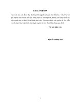 Luận văn thạc sĩ kỹ thuật chuyên ngành Quản lý kinh tế: Hoàn thiện công tác quản lý tài chính tại Công ty Cổ phần đầu tư phát triển hạ tầng và đô thị Vĩnh Hưng