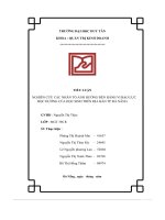 tiểu luận nghiên cứu các nhân tố ảnh hưởng đến hành vi bạo lực học dường của học sinh trên địa bàn tp đà nẵng