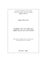 Nghiên cứu và chế tạo thiết bị lái tự cân bằng