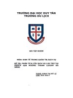 kinh tế trong quản trị dịch vụ đề tài phân tích cầu dịch vụ lưu trú tại khách sạn mường thanh luxury đà nẵng