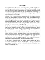 Tiểu Luận  - phát triển nhân lực - Đề Tài - Phương Pháp Và Nội Dung Đào Tạo Và Phát Triển Nhân Lực Trong Tổ Chức, Doanh Nghiệp – Liên Hệ Thực Tiễn Về Phương Pháp Và Nội Dung Đào Tạo Và Phát Triển Nhân Lực Ở Tập Đoàn Bưu Chính Viễn Thông Quân Đội