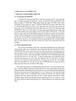 tổng quan về doanh nghiệp nghiên cứu về tập đoàn sunhouse