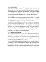 Giới Thiệu Về Hội An.pdf