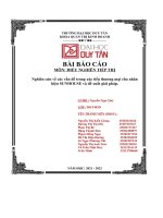 nghiên cứu về các vấn đề trong xúc tiến thương mại cho nhãn hiệu sunhouse và đề xuất giải pháp