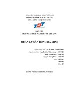 báo cáo môn phân tích và thiết kế yêu cầu quản lý sân bóng đá mini