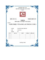 Đồ Án Cá Nhân Tin Học Ứng Dụng Chủ Đề Giới Thiệu Về Danh Lam Thắng Cảnh.pdf