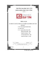 Tiểu Luận Vai Trò Của Đảng Trong Sự Nghiệp Giải Phóng Dân Tộc  1930-1945.Pdf