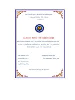 Hoạt Động Phát Hành Thẻ Thanh Toán Cho Khách  Hàng Cá Nhân Tại Ngân Hàng Thương Mại Cổ Phần Tiên Phong Việt Nam - Chi Nhánh Huế.pdf