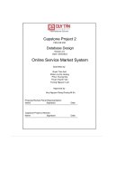 Capstone Project 2 Database Design  Online Service Market System.pdf