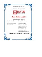 Bài Tiểu Luận Môn  Tranh Tài Giải Pháp Pbl= Xà Phòng Handmade Organic.pdf