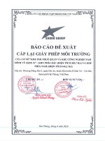 báo cáo đề xuất cấp lại gpmt kcn nam đình vũ