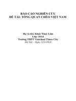 báo cáo nghiên cứu đề tài tổng quan chèo việt nam