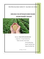 Bản Báo Cáo Kế Hoạch Kinh Doanh Doanh Nghiệp Vinasoy.pdf