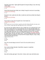 En03 dẫn luận ngôn ngữ + Bài tự luận