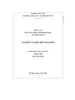 tiểu luận môn chủ nghĩa xã hội khoa học tìm hiểu về diễn biến hòa bình