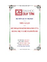 tiểu luận kế hoạch kinh doanh cửa hàng mẹ và bé pamyêuơi