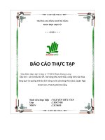 Báo Cáo Thực Tập Công Ty Tnhh Phạm Hưng Long.pdf