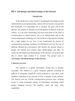 Advantages and disadvantages of the internet