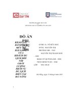 Khảo Sát Đánh Giá Mức Độ Hài Lòng Của Khách Du Lịch Đối Với Chất Lượng Dịch Vụ Du Lịch Biển Tại Đà Nẵng.pdf