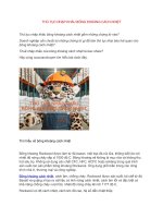 Thủ tục nhập khẩu bông khoáng cách nhiệt