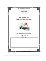 Báo Cáo Môn Học Tiếp Thị Địa Phương Quảng Ngãi.pdf