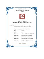 đồ án nhóm tên đề tài tìm hiều về phần mềm bacula