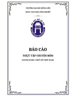 báo cáo thực tập chuyên môn chuyên nghành thiết kế thời trang