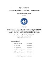 phân tích tổng quan xu hướng thị trường tiêu dùng việt nam năm 2024