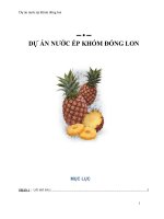 Tiểu Luận - Quản Trị Dự Án - Đề Tài - Dự Án Nước Ép Khóm Đóng Lon 
