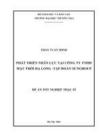 Đề Án Tốt Nghiệp Thạc Sĩ Quản Lý Kinh Tế Phát Triển Nhân Lực Tại Công Ty Tnhh Mặt Trời Hạ Long-Tập Đoàn Sungroup