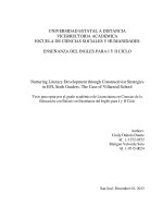NURTURING LITERACY DEVELOPMENT THROUGH CONSTRUCTIVIST STRATEGIES IN EFL SIXTH GRADERS: THE CASE OF VILLARREAL SCHOOL ĐIỂM CAO