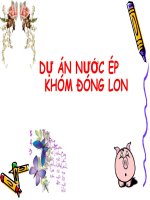 Tiểu Luận - Quản Trị Dự Án Đầu Tư - Đề Tài -Dự Án Nước Ép Khóm Đóng Lon