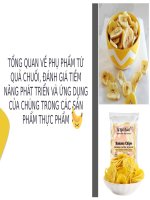 tổng quan về phụ phẩm từ quả chuối đánh giá tiềm năng phát triển và ứng dụng của chúng trong các sản phẩm thực phẩm