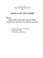 đề tài hoàn thiện hoạt động truyền thông marketing cho công ty tnhh hills beauty