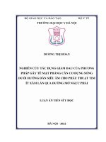 Luận Án Tiến Sĩ Y Học Nghiên Cứu Tác Dụng Giảm Đau Của Phương Pháp Gây Tê Mặt Phẳng Cân Cơ Dựng Sống Dưới Hướng Dẫn Siêu Âm Cho Phẫu Thuật Tim Ít Xâm Lấn Qua Đường Mở Ngực Phải