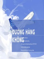 đường hàng không tìm hiểu về khái niệm đặc điểm đường hàng không tình trạng vận tải đường hàng không tại việt nam tìm hiểu ưu điểm nhược điểm