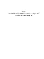 Tiểu Luận - Đường Lối  -  Đề Tài - Phân Tích Các Đặc Trưng Của Cơ Chế Kê Hoạch Hóa Tập Trung Quan Liêu, Bao Cấp