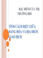 Tiểu Luận -  Thị Trường Bất Động Sản - Đề Tài -                  Đặc Điểm Của Thị Trường Bđs - Tính Cách Biệt Giữa Hàng Hóa Và Địa Điểm Giao Dịch