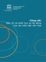 CÔNG ƯỚC BẢO VỆ VÀ PHÁT HUY SỰ ĐA DẠNG CỦA CÁC BIỂU ĐẠT VĂN HÓA