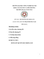 Tiểu Luận - Thị Trường Bất Động Sản - Đề Tài - Đầu Tư Kinh Doanh Bất Động Sản