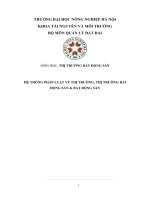 Tiểu Luận - Thị Trường Bất Động Sản - Đề Tài - Hệ Thống Pháp Luật Về Thị Trường, Thị Trường Bất Động Sản & Bất Động Sàn