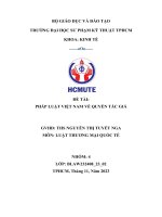 đề tài pháp luật việt nam về quyền tác giả