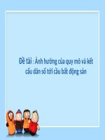 Tiểu Luận -  Thị Trường Bất Động Sản - Đề Tài - Ảnh Hưởng Của Quy Mô Và Kết Cấu Dân Số Tới Cầu Bất Động Sản