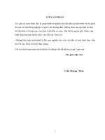 Luận văn thạc sĩ Quản lý xây dựng: Nghiên cứu giải pháp nâng cao chất lượng quản lý khai thác công trình thủy lợi, tỉnh Hậu Giang