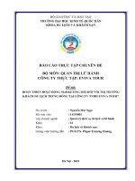 Chuyên đề thực tập: Hoàn thiện hoạt động marketing mix đối với thị trường khách du lịch trung đông tại công ty TNHH Eviva Tour