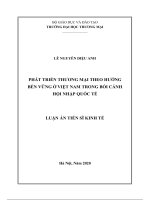 Luận Án Tiến Sĩ Kinh Tế Phát Triển Thương Mại Theo Hướng Bền Vững Ở Việt Nam Trong Bối Cảnh Hội Nhập Quốc Tế.pdf