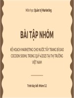 kế hoạch marketing cho nước tẩy trang bí đao cocoon 500ml trong quý 42023 tại thị trường việt nam