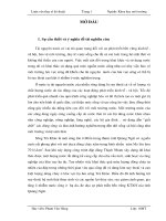 Luận văn thạc sĩ Khoa học môi trường: Quản lý bảo vệ môi trường nước và hệ sinh thái thủy sinh hạ lưu sông Trà Khúc