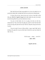 Luận văn thạc sĩ Xây dựng công trình thủy: Nghiên cứu sự ổn định của đê biển khi có sóng tràn qua